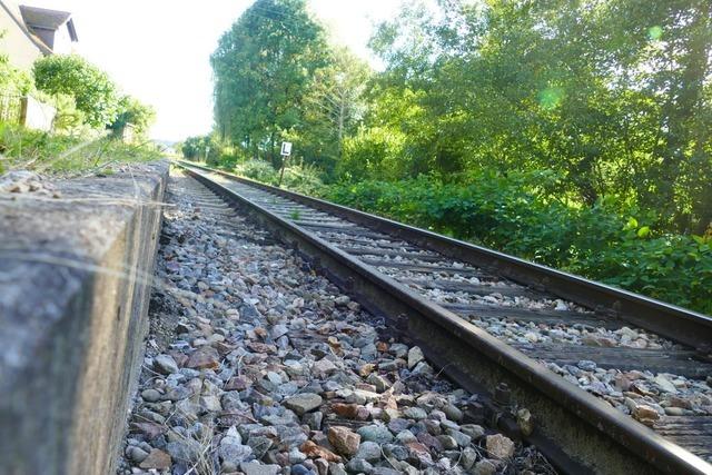 Was aus Sicht der Grünen im Kreis Lörrach für die Kandertalbahn-Reaktivierung spricht Was aus Sicht der Grünen im Kreis Lörrach für die Kandertalbahn-Reaktivierung spricht