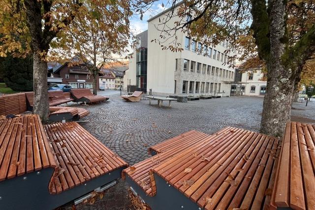 Der Schnauer "Grnzzaun" ist nun endgltig Geschichte – wie blicken Schler und Gemeinderat auf das Ergebnis?