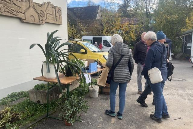 Tradition mit Wurzeln: Die Pflanzentauschbörse in Eichen feiert zehntes Jahr Tradition mit Wurzeln: Die Pflanzentauschbörse in Eichen feiert zehntes Jahr
