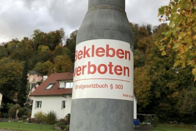 Sticker an Laternen: Sogar die Stadt Lörrach macht mit Sticker an Laternen: Sogar die Stadt Lörrach macht mit