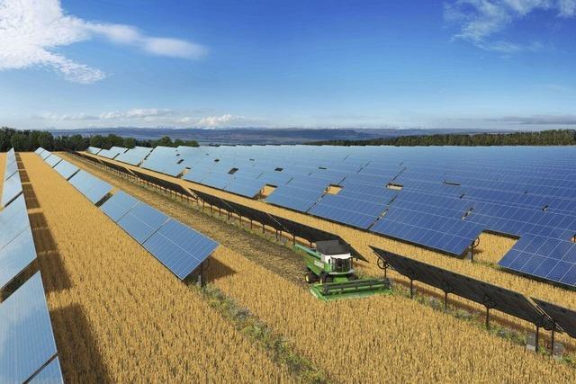 Innovativer Agri-Solarpark soll in Buggingen Strom für 2000 Haushalte bieten Innovativer Agri-Solarpark soll in Buggingen Strom für 2000 Haushalte bieten