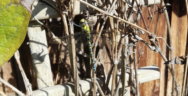   | Foto: Christoph Gurlitt