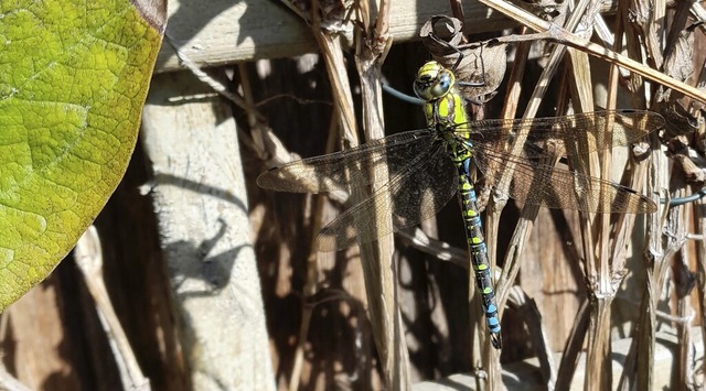 | Foto: Christoph Gurlitt   | Foto: Christoph Gurlitt