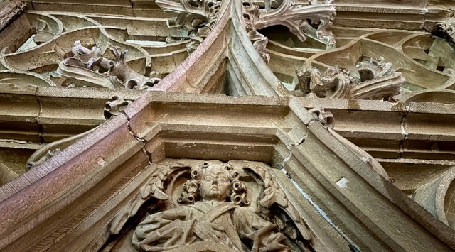 | Foto: Sophia Ungerland   | Foto: Sophia Ungerland