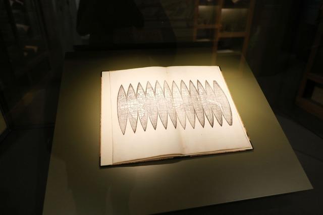 Führung im Ritterhaus: Die abenteuerliche Reise der Waldseemüllerkarte Führung im Ritterhaus: Die abenteuerliche Reise der Waldseemüllerkarte