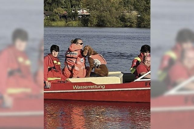 Suchhundestaffel zu Gast bei der DLRG