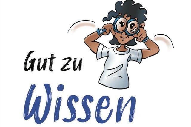Ein 70 Millionen Jahre altes Ei Ein 70 Millionen Jahre altes Ei