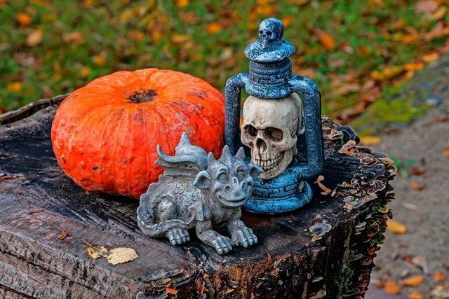 Fotos: So liebevoll gruselig ist Kinder-Halloween im Schwarzwaldzoo Waldkirch Fotos: So liebevoll gruselig ist Kinder-Halloween im Schwarzwaldzoo Waldkirch