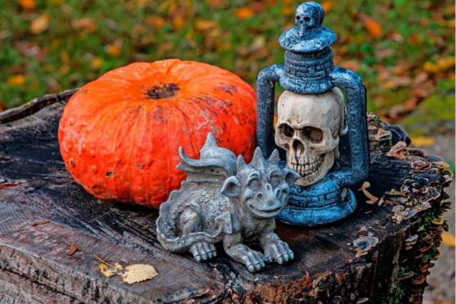 Fotos: So liebevoll gruselig ist Kinder-Halloween im Schwarzwaldzoo Waldkirch