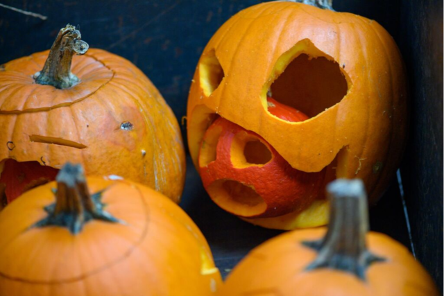 Trick or Treat: Was an Halloween erlaubt ist - und was nicht