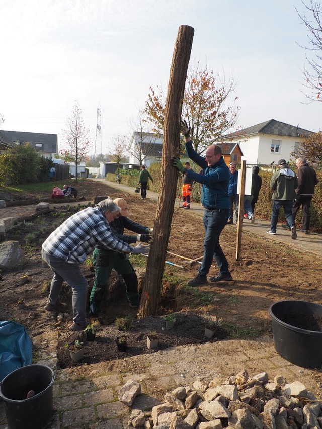 Um einen Stamm, den Bauamtsleiter Ulri...enfeld eine Eidechsenburg aufgehügelt.  | Foto: Herbert Frey Um einen Stamm, den Bauamtsleiter Ulri...enfeld eine Eidechsenburg aufgehügelt.  | Foto: Herbert Frey