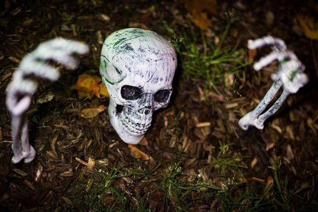 Kein Hexenwerk: Halloween-Kostüme und Deko richtig entsorgen Kein Hexenwerk: Halloween-Kostüme und Deko richtig entsorgen