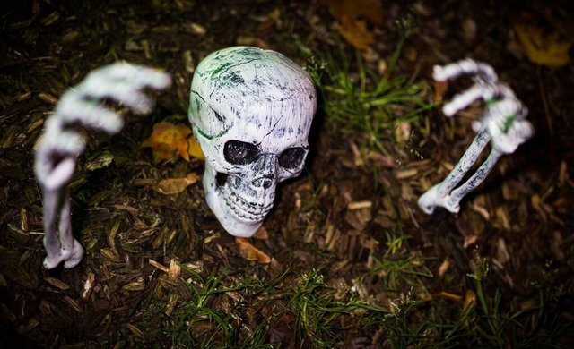 Wohin mit dem ganzen Kram nach Halloween?  | Foto: dpa Wohin mit dem ganzen Kram nach Halloween?  | Foto: dpa