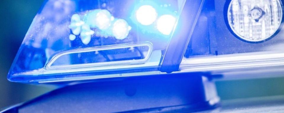 Polizei rettet Katze aus misslicher Lage in der Lahrer Kaiserstrae