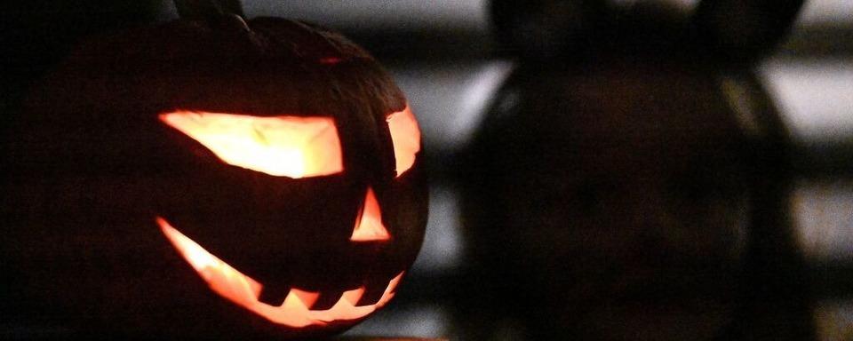 Viel Arbeit fr die  Offenburger Polizei in der Halloween-Nacht