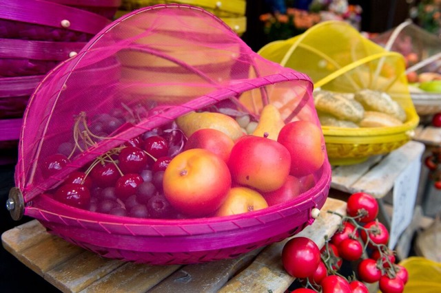 Eine Obstschale mit einem Netz kann Insekten von vornherein fernhalten. | Foto: Franziska Gabbert (dpa) Eine Obstschale mit einem Netz kann Insekten von vornherein fernhalten. | Foto: Franziska Gabbert (dpa)