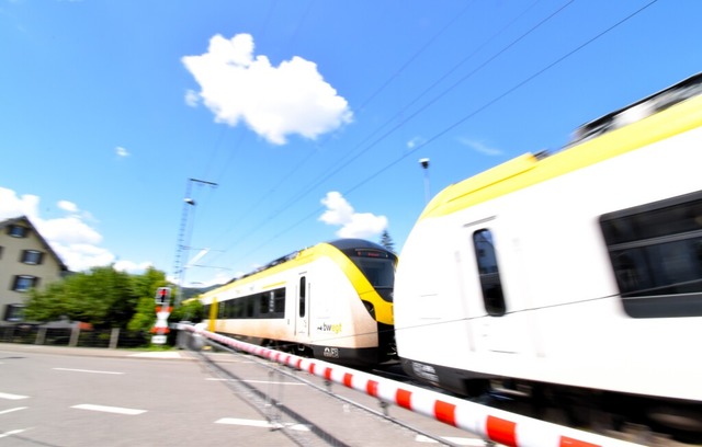 Ein Zug der Breisgau-S-Bahn bei Kirchzarten. (Symbolbild). | Foto: Kathrin Blum Ein Zug der Breisgau-S-Bahn bei Kirchzarten. (Symbolbild). | Foto: Kathrin Blum