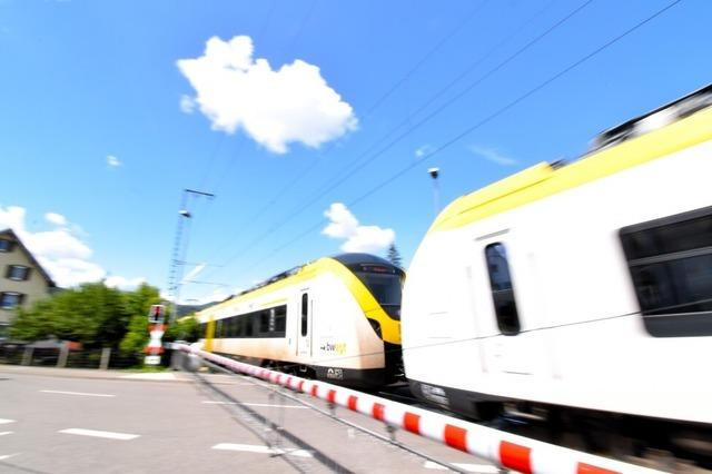 Breisgau-S-Bahn mit Versptung nach Weichenstrung bei Kirchzarten