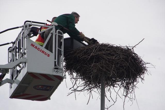 Kenzinger Storchennester sind bereit fr das Frhjahr