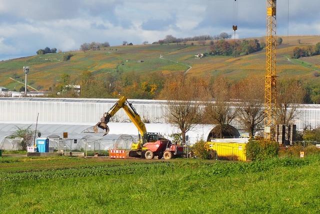 Das Regenberlaufbecken ist fr die Gemeinde Fischingen eine Groinvestition in die Zukunft