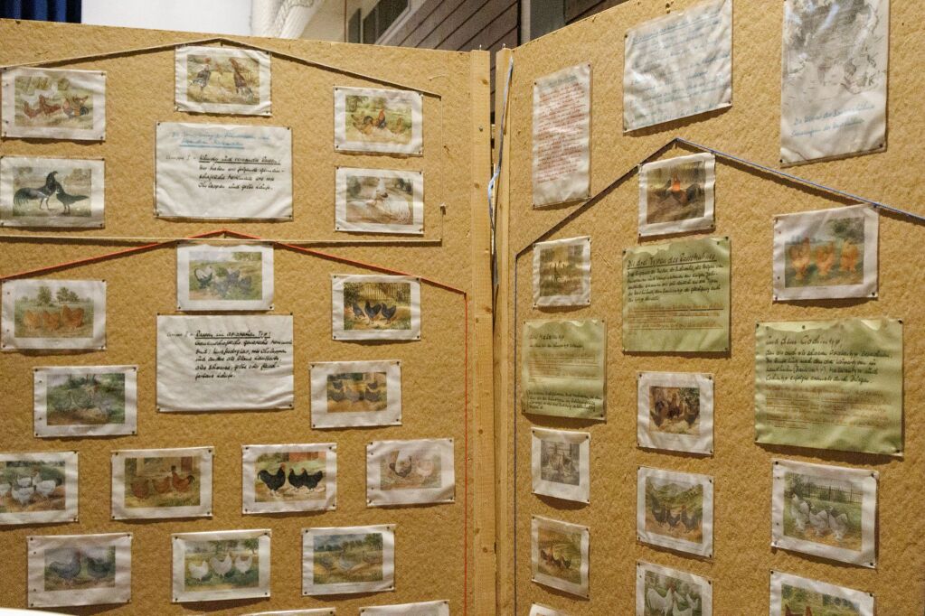 Eindrcke von der Kleintierschau in der Umkircher Festhalle. Die Veranstalter waren zufrieden mit den Besucherzahlen – sowohl am Samstag als auch Sonntag seien zahlreiche Besucher und Zchter dabei gewesen.