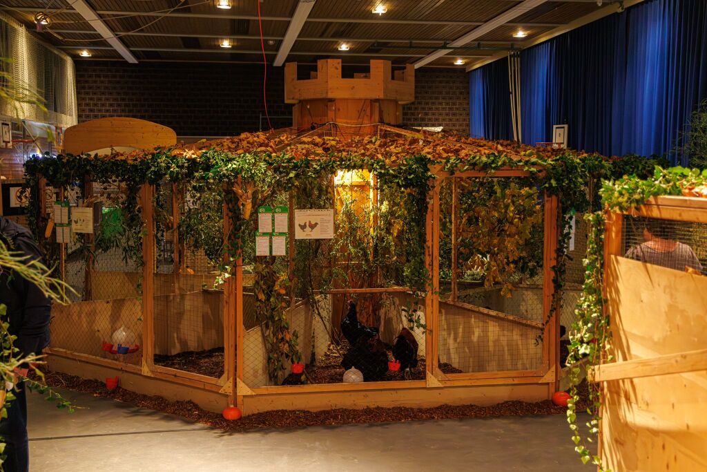 Eindrcke von der Kleintierschau in der Umkircher Festhalle. Die Veranstalter waren zufrieden mit den Besucherzahlen – sowohl am Samstag als auch Sonntag seien zahlreiche Besucher und Zchter dabei gewesen.