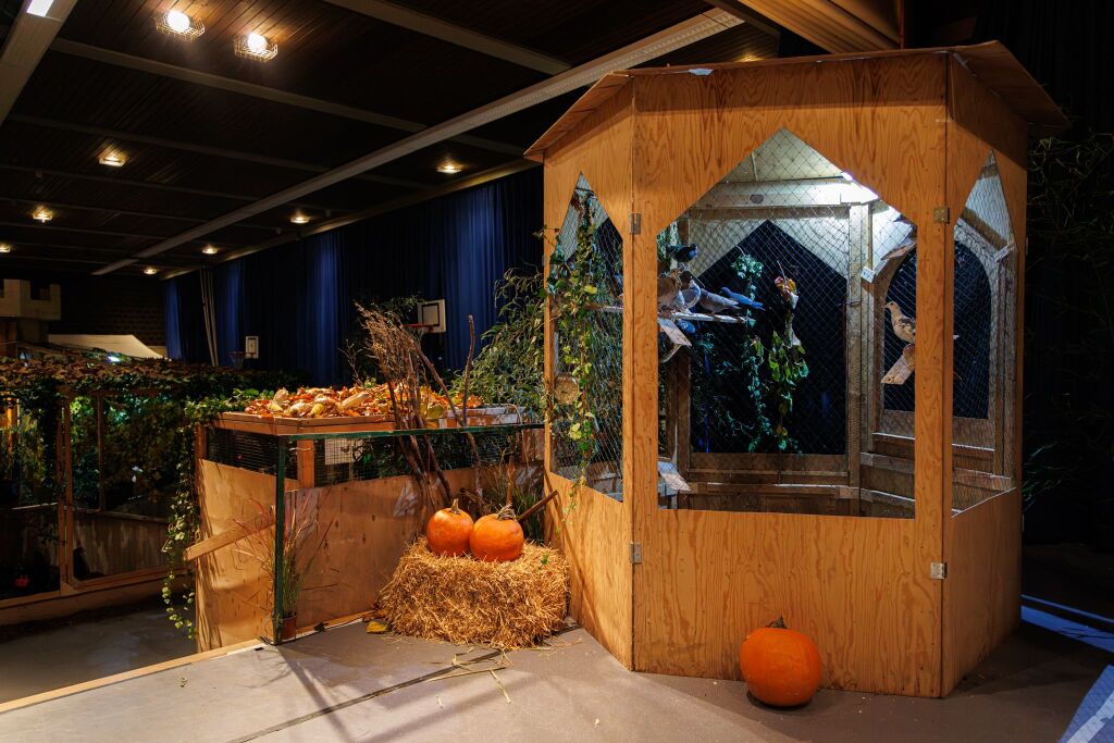 Eindrcke von der Kleintierschau in der Umkircher Festhalle. Die Veranstalter waren zufrieden mit den Besucherzahlen – sowohl am Samstag als auch Sonntag seien zahlreiche Besucher und Zchter dabei gewesen.