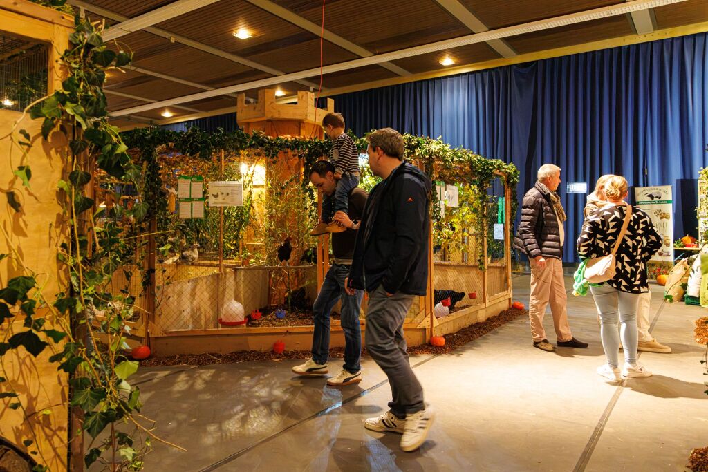 Eindrcke von der Kleintierschau in der Umkircher Festhalle. Die Veranstalter waren zufrieden mit den Besucherzahlen – sowohl am Samstag als auch Sonntag seien zahlreiche Besucher und Zchter dabei gewesen.