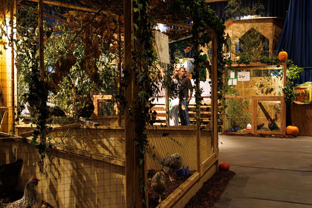 Eindrcke von der Kleintierschau in der Umkircher Festhalle. Die Veranstalter waren zufrieden mit den Besucherzahlen – sowohl am Samstag als auch Sonntag seien zahlreiche Besucher und Zchter dabei gewesen.