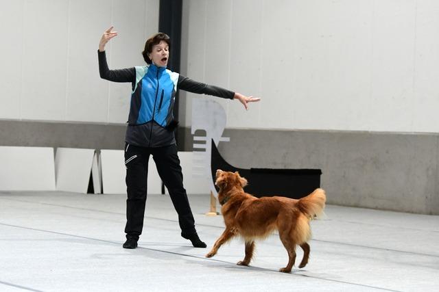 Kaum Bellen, aber viele wedelnde Schwnze: So war die "Mein Hund"-Messe in Freiburg