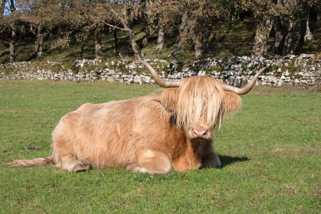 VHS Lahr ldt auf 7. November zum Schottland-Abend mit Udo-Seiwert-Fauti und Michael Schmidt ein