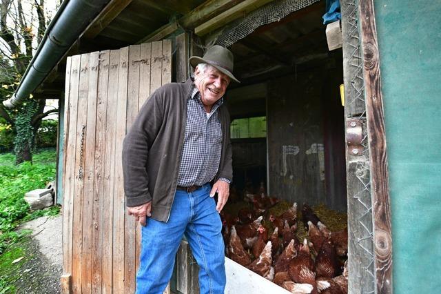 Wie ein Freiburger seine Hhner vor der Vogelgrippe schtzt