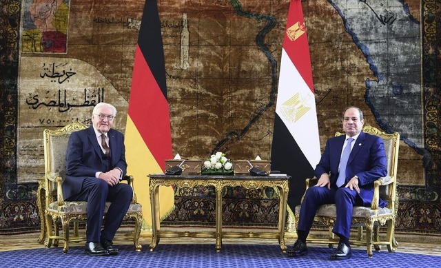 Bundesprsident Frank-Walter Steinmeie..., Prsident von gypten, zum Gesprch.  | Foto: Bernd von Jutrczenka (dpa)