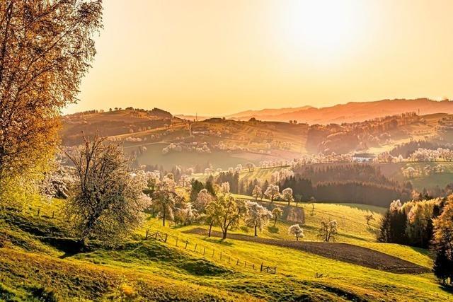 Freuen Sie sich auf einmalige Kulturlandschaften an der Donau