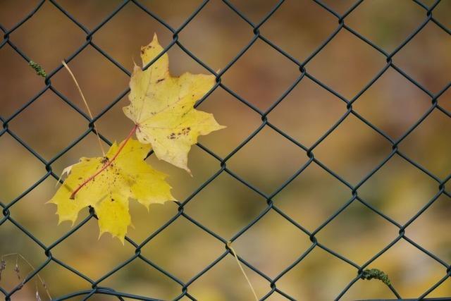 Bringt ein Hoch wieder Sonne nach Baden-Wrttemberg?