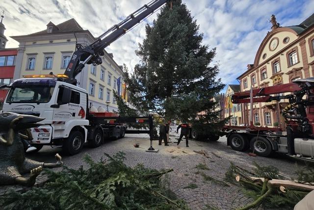 Viel zu sgen und zu schmcken: Der Offenburger Weihnachtsbaum steht seit Montagvormittag