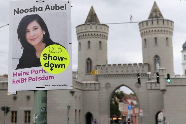 Immer mehr Brgermeister in Deutschland gehren wie Freiburgs OB Martin Horn keiner Partei mehr an