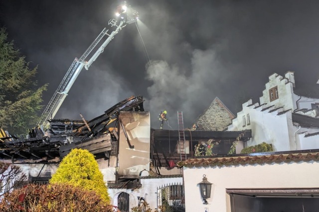 Mit Seilen gesichert untersttzte die Wehr bei Lscharbeiten.  | Foto: Freiwilige Feuerwehr Weil am Rhein