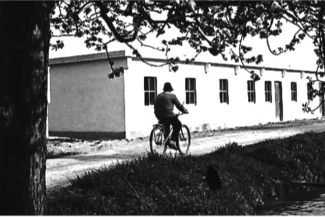 Freiburgs erste Sinti-Siedlung: Familien lebten in schimmligen Baracken