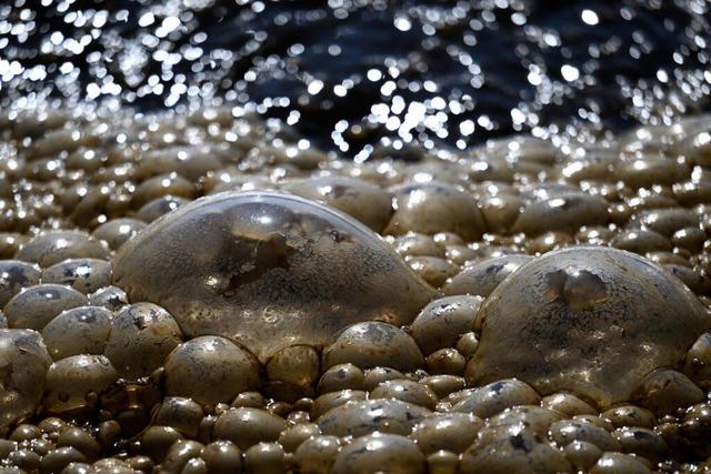 Gemeinderat Merdingen beschliet Satzung von Eigenbetrieben fr Wasser und Abwasser