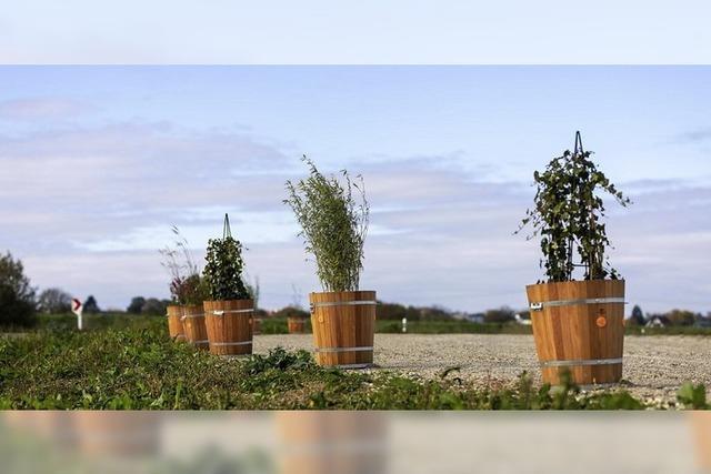 Eine Lsung findet sich, wenn man aufeinander zugeht