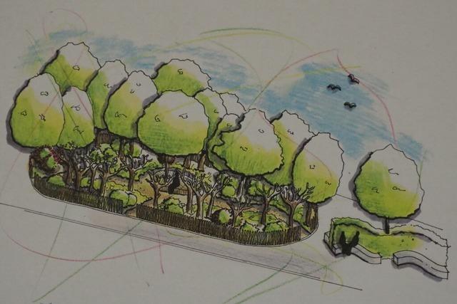 In Eimeldingens Mitte soll ein Miniaturwald entstehen