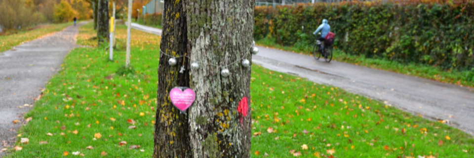 Freiburger-Gedenkbaum fr Mordopfer Maria Ladenburger wurde gefllt