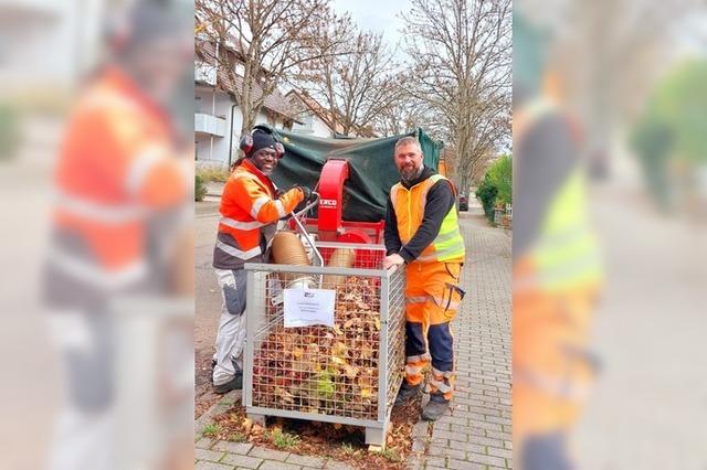 Die Stadt Kenzingen startet mit der Testphase fr Laubentsorgung