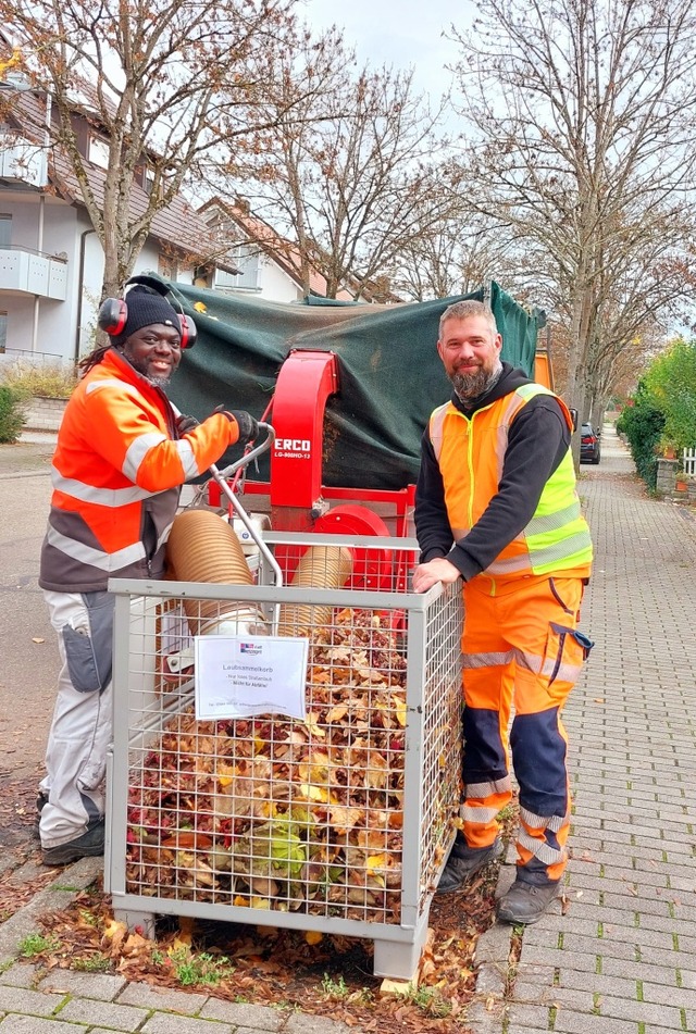 Zwei Laubsammelkrbe sind jetzt in Ken...im Rahmen einer Testphase aufgestellt.  | Foto: Stadt Kenzingen