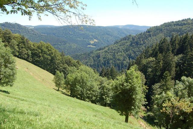 Hotzenwald-Tourismus rechnet mit Verlusten bis 2029