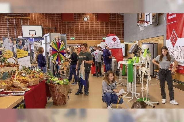 Ein erster Einblick in das Berufsleben