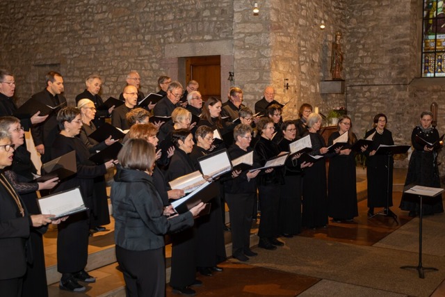 Am kommenden Wochenende finden zwei Ko...lys in Saint-Louis und Habsheim statt.  | Foto: Magdalena Kaufmann-Spachtholz