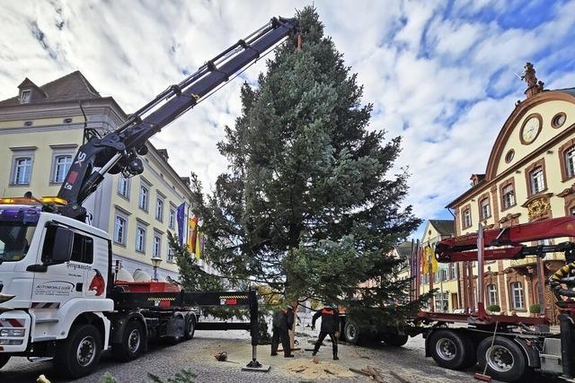 Der Weihnachtsbaum steht schon, das Wetter dreht nochmal auf