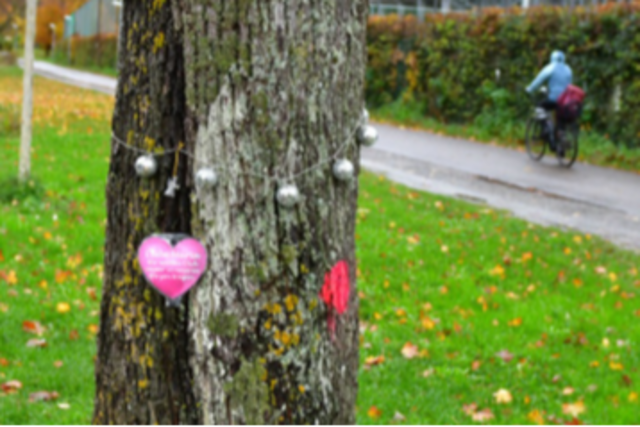 Freiburger-Gedenkbaum fr Mordopfer Maria Ladenburger wurde gefllt